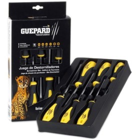 DESTORNILLADOR BIANDITZ JUEGO 6 pzs CON PUNTAS PH y PLANA
