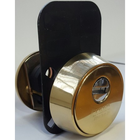 ESCUDO TESA SEGURIDAD PVD LATONADO REF.E80026LPD