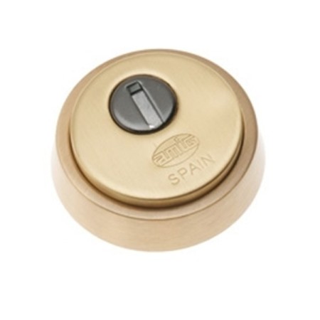 ESCUDO DE SEGURIDAD AMIG MODELO 30 LATONADO MATE
