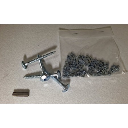 TORNILLO INVIOLABLE 6x60 ZN TORX T-40 CAJA 100 UDS INVZ6060