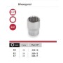 LLAVE VASO CON BOCA DE ESTRELLA DE 1/2"-17mm DOGHER REF. 530-17