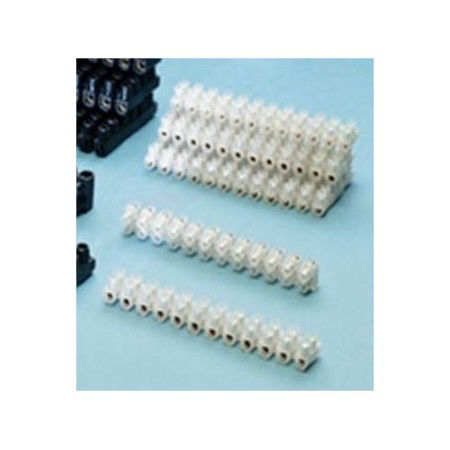 REGLETA ELÉCTRICA BLANCA DE CONEXION DE 10mm Y 12 ELEMENTOS