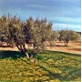 RED DE ESCOMBRO Y MANTO DE RECOGIDA DE 6x12m