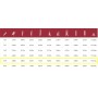 ESCALERA DE ALUMINIO FERRAL mod. ELITE DE 3 TRAMOS DE 3m CONVERTIBLE 3x10 PELDAÑOS