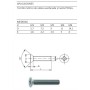 TORNILLO CABEZA PLANA DIN 965 M-05x30mm ZN (€/100uds)