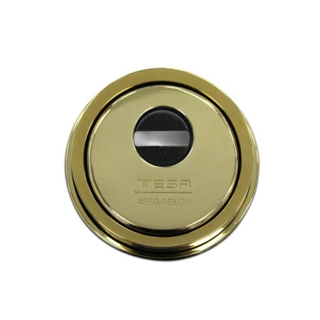 ESCUDO SEGURIDAD TESA E900 LATÓN PULIDO ref. E90026LPD