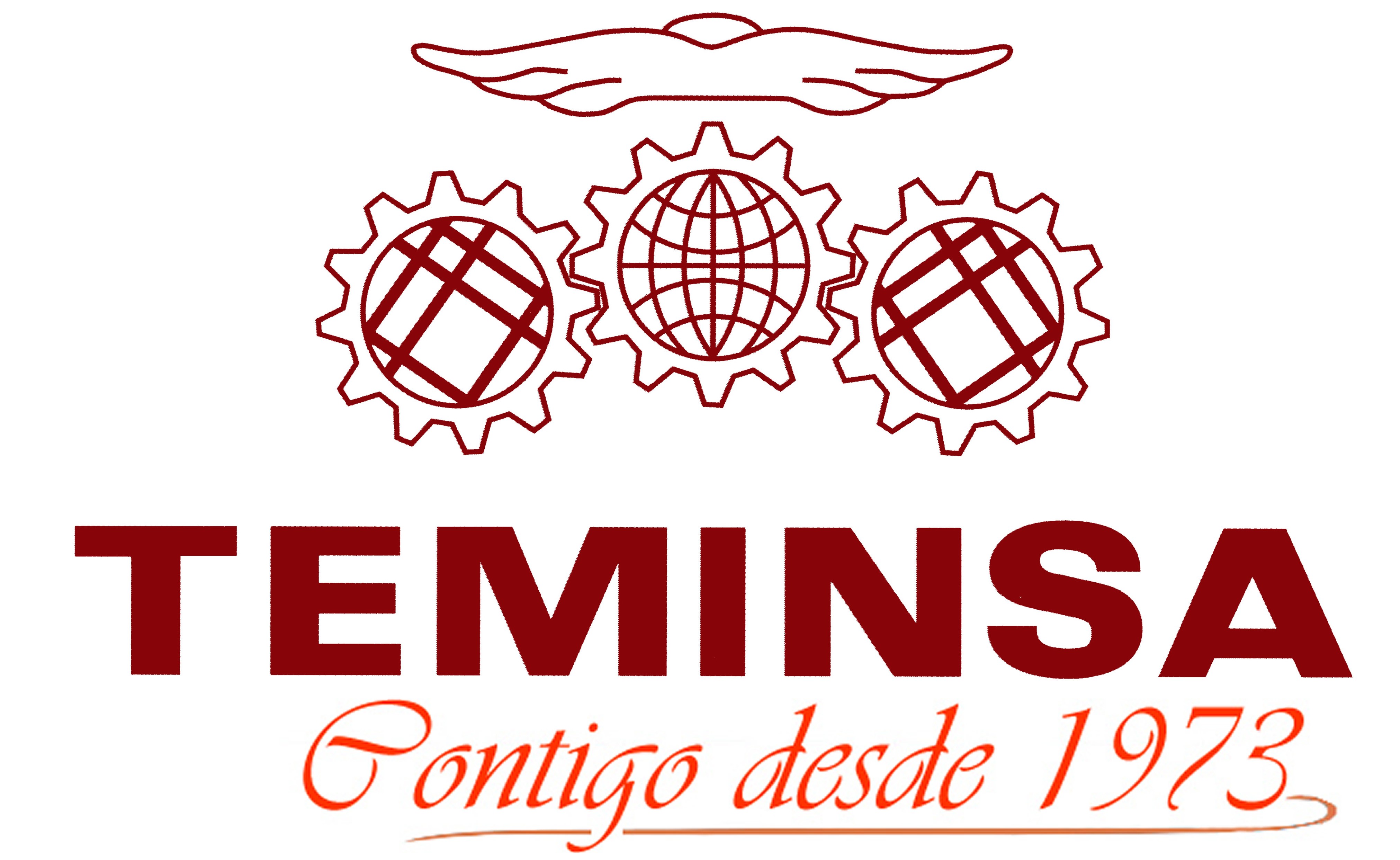 Teminsa