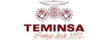 Teminsa Tmi S.L.