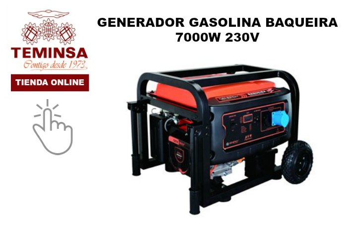 Generador Gasolina Baqueira  7000W