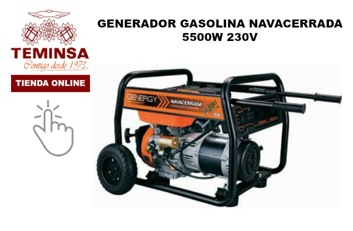 Generador Gasolina Navacerrada 5500W Teminsa Tienda Online