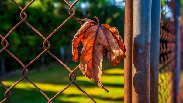 Cómo preparar puertas, cerramientos y elementos metálicos para la llegada del otoño